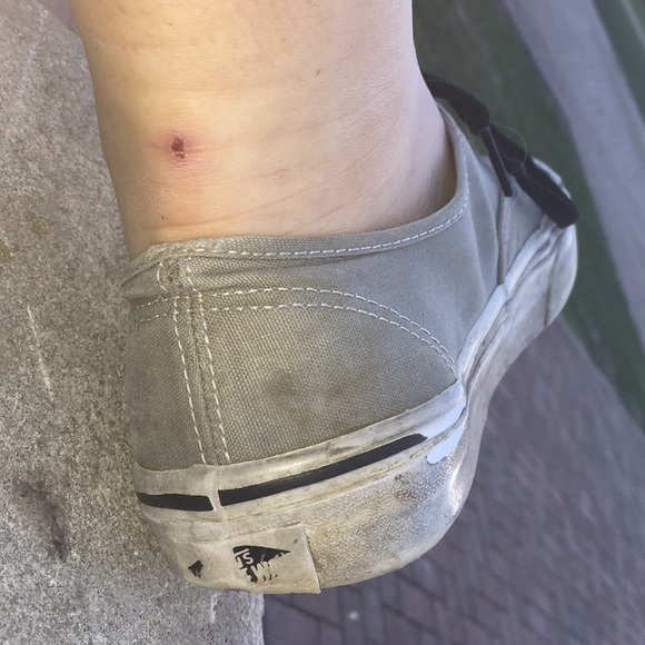 Slightly used gray vans - Picture 4 of 4